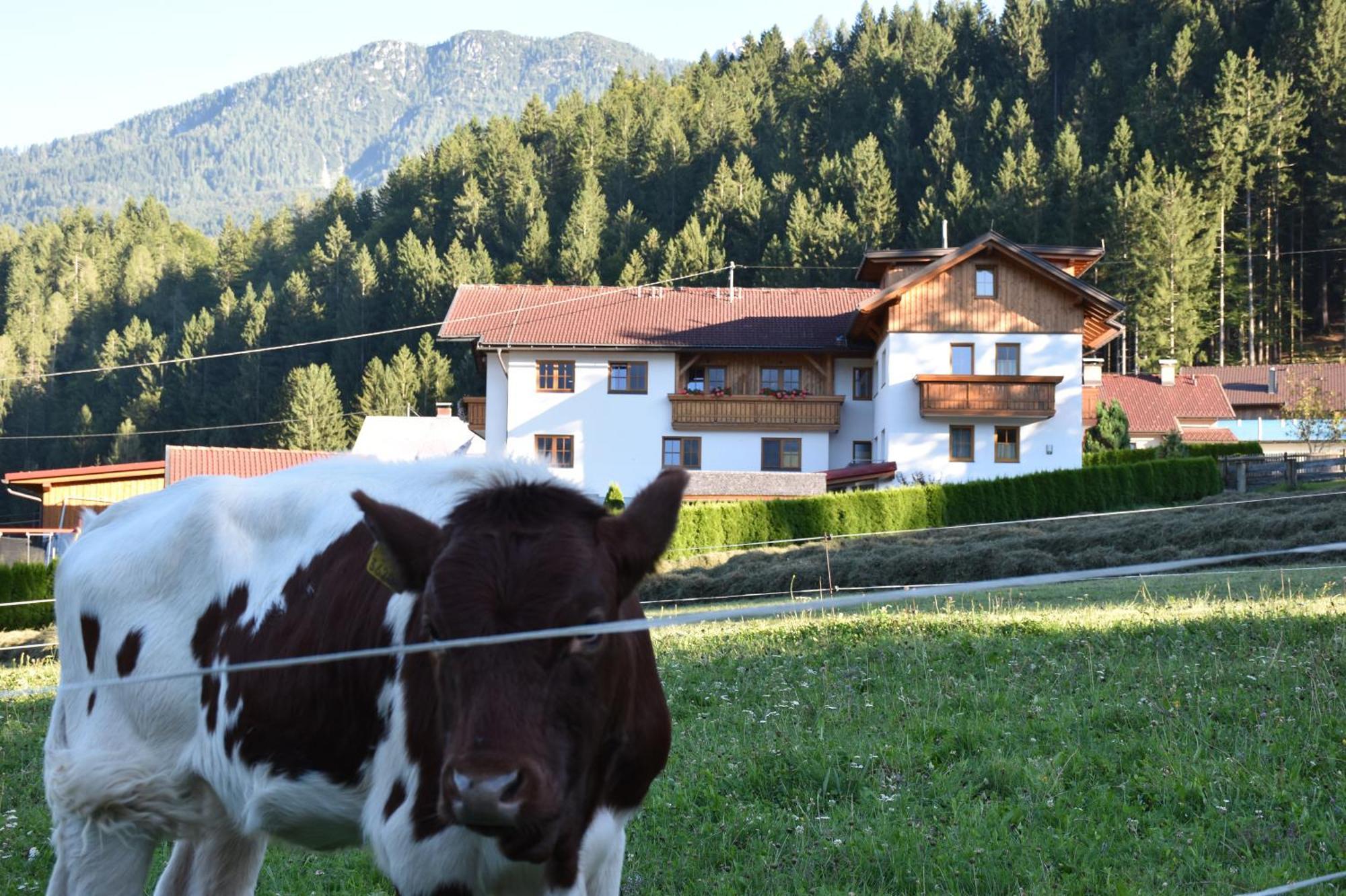 Pension- Appartement Kristall Tröpolach Exteriér fotografie