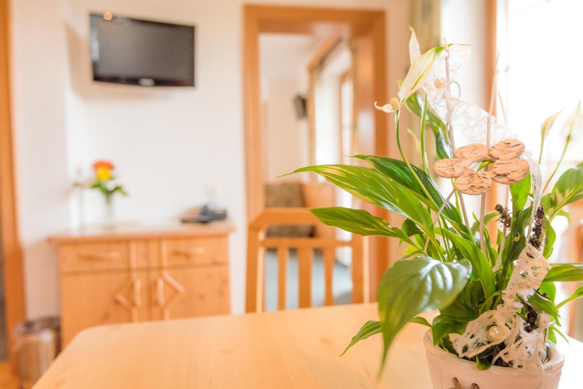Pension- Appartement Kristall Tröpolach Exteriér fotografie